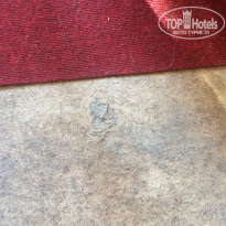 фото из отзыва ID 2205920