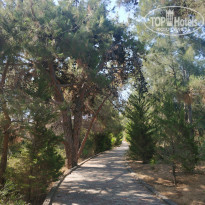 фото из отзыва ID 2202435