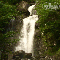 фото из отзыва ID 2205941