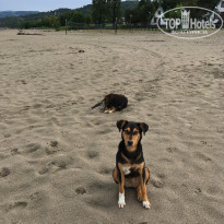 фото из отзыва ID 2205941