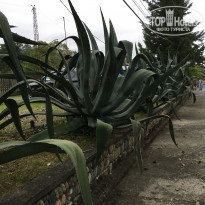 фото из отзыва ID 2205941