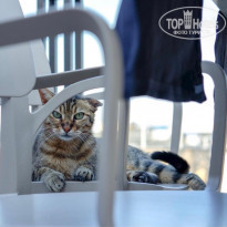 фото из отзыва ID 2206025