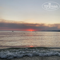 фото из отзыва ID 2206038