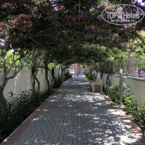 фото из отзыва ID 2206038