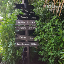 фото из отзыва ID 2206131