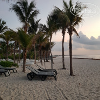 фото из отзыва ID 2206131