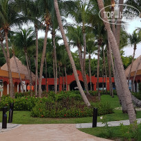 фото из отзыва ID 2206131