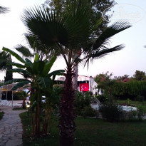 фото из отзыва ID 2206306