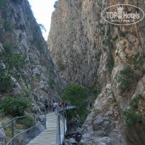 фото из отзыва ID 2206329