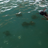 фото из отзыва ID 2206329