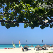 фото из отзыва ID 2206239