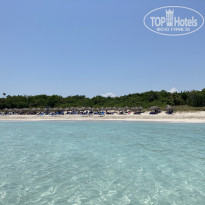 фото из отзыва ID 2206239