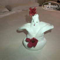 фото из отзыва ID 2206239