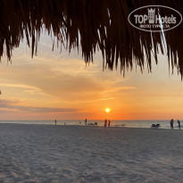 фото из отзыва ID 2206239