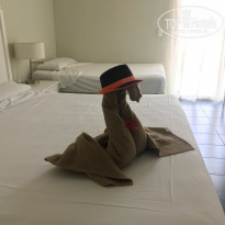 фото из отзыва ID 2206239