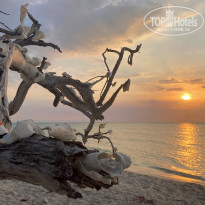 фото из отзыва ID 2206239