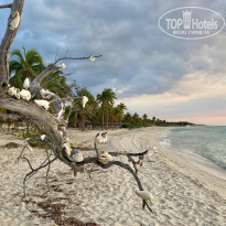 фото из отзыва ID 2206239