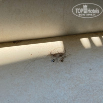 фото из отзыва ID 2206495