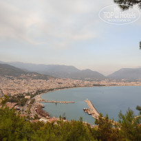 фото из отзыва ID 2206491