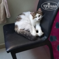 фото из отзыва ID 2206547