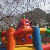 фото из отзыва ID 2206606