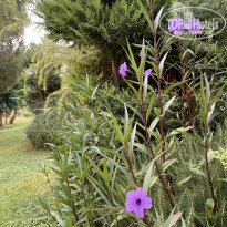 фото из отзыва ID 2206616