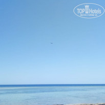 фото из отзыва ID 2206634