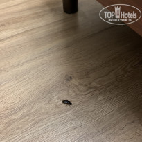 фото из отзыва ID 2206636