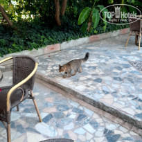 фото из отзыва ID 2206653