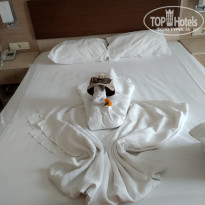 фото из отзыва ID 2206656