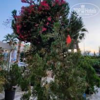 фото из отзыва ID 2206815