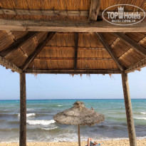 фото из отзыва ID 2206848