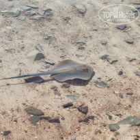 фото из отзыва ID 2206827