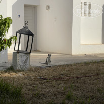 фото из отзыва ID 2207102