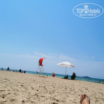 фото из отзыва ID 2207279