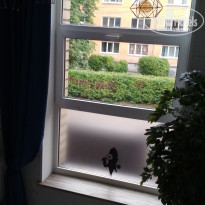 фото из отзыва ID 2207335