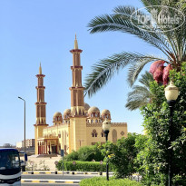 фото из отзыва ID 2207238