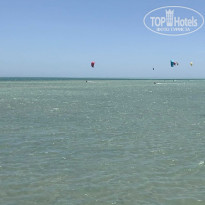 фото из отзыва ID 2207238