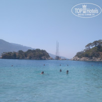 фото из отзыва ID 2207511