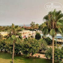 фото из отзыва ID 2207558