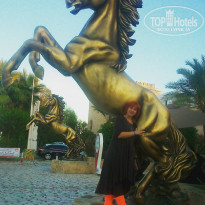 фото из отзыва ID 2207602