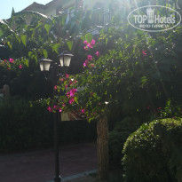 фото из отзыва ID 2207354