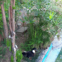 фото из отзыва ID 2207720