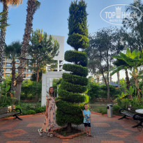 фото из отзыва ID 2207720