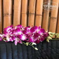 фото из отзыва ID 2207782