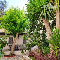 фото из отзыва ID 2207783