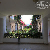 фото из отзыва ID 2207850