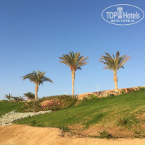 фото из отзыва ID 2207850