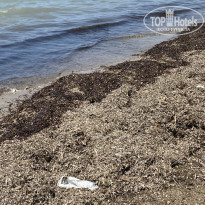 фото из отзыва ID 2208000