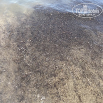 фото из отзыва ID 2208000